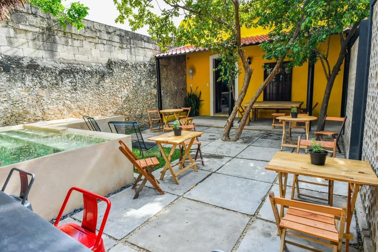 Guest house Hostal La 59 Merida
